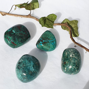 Chrysocolle