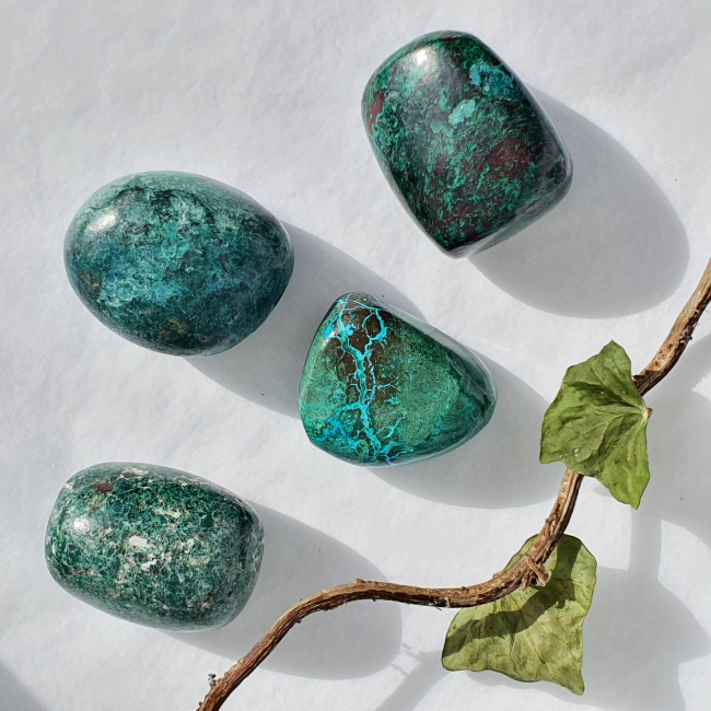 Chrysocolle